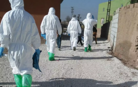 Türkiyədə virusa görə 11 kənd karantinə alındı