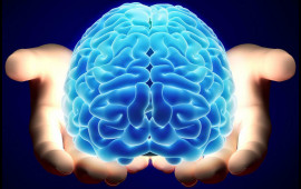 Bədənimiz barədə 20 şok fakt  Beyinin tutumu nə qədərdir?