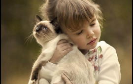 Bu 3 Bürc pişiklərlə eyni enerjidən qidalanırlar