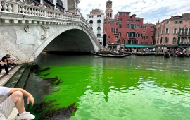 Venesiya suları yaşıla büründü  FOTO