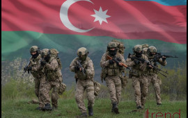 İradənin Zəfəri: 30 illik mübarizənin 23 saatlıq sonu