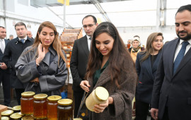 Leyla və Arzu Əliyevalar arıçılıq məhsullarının sərgisatış yarmarkasını ziyarət ediblər 