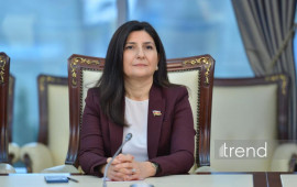 Vaşinqtondakı təxribat cəhdi məqsədli idi  Sevil Mikayılova