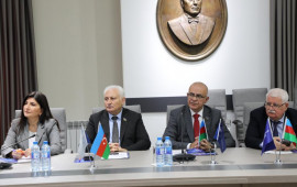 Prezident İlham Əliyevin tarixi missiyanı şərəflə tamamlaması nəticəsində faciə və qaranlıqdan işığa doğru gəldik – Sevil Mikayılova  FOTO
