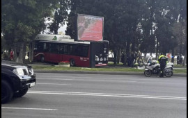 "Bakubus" Bulvara girdi, ağacları aşırtdı  VİDEO  FOTO