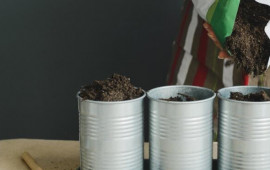 Nə bağ, nə də torpaq tələb etmir: Bir dəfə ək, il boyu məhsul yığ