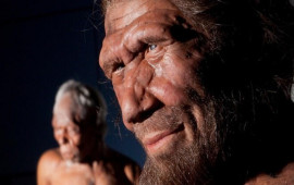 Neandertal insanın genlərini daşıyırsınız? 