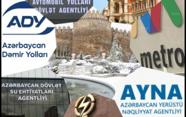 Qurumlar qışa necə hazırlaşır?  Açıqlama