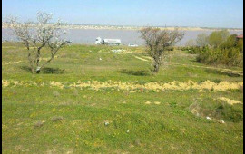 Torpağa görə əmisi oğlunu bıçaqladı 