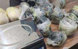 Biləsuvarda 19 kiloqram narkotik vasitə aşkarlandı  FOTO