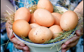 Yumurta niyə bahalaşır?   A&Ccedil;IQLAMA