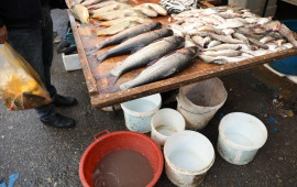 "8ci km" bazarında antisanitar vəziyyət hökm sürür  AQTA 