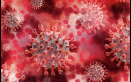 Koronavirusa qarşı hansı immunitet daha effektlidir?