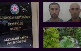 Çətənə bitkilərinin kultivasiyasını təşkil edən şəxslər saxlanıldı  VİDEO
