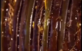 Duru yağı kanalizasiya suyundan hazırlayırlar  Artıq alanda iki dəfə düşünəcəksiniz  VİDEO