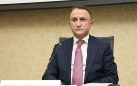 Elgin Həbibullayev m&uuml;avinini, ş&ouml;bə m&uuml;dirini, icra n&uuml;mayəndəsini işdən &ccedil;ıxardı 