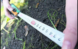 Bələdiyyə torpaqları satışa &ccedil;ıxarılır  SİYAHI