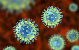 Koronavirusun daha bir təhlükəsi
