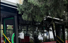 Sürücünün halı qəfil pisləşib, avtobusu dayandıra bilməyib...