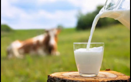 Dabaq xəstəliyi kənd s&uuml;d satışına necə təsir etdi?  A&Ccedil;IQLAMA