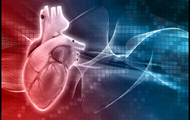 3 min insanın nə yeyibiçdiyini illərlə izlədilər  Ürəyi yormayan qidalar açıqlandı