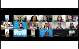 Parlamentlərin dayanıqlı şəhər inkişafında rolu m&ouml;vzusunda WUF13ə həsr olunmuş beynəlxalq tədbir ke&ccedil;irilib 