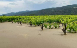 Türkiyədə hektarlarla kənd təsərrüfatı sahələri su altında qaldı  FOTO