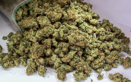 Bakıda 29 kq marixuana aşkarlandı