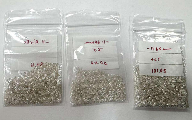 Dubaydan gələn sərnişində 548 karat brilyant aşkarlandı 