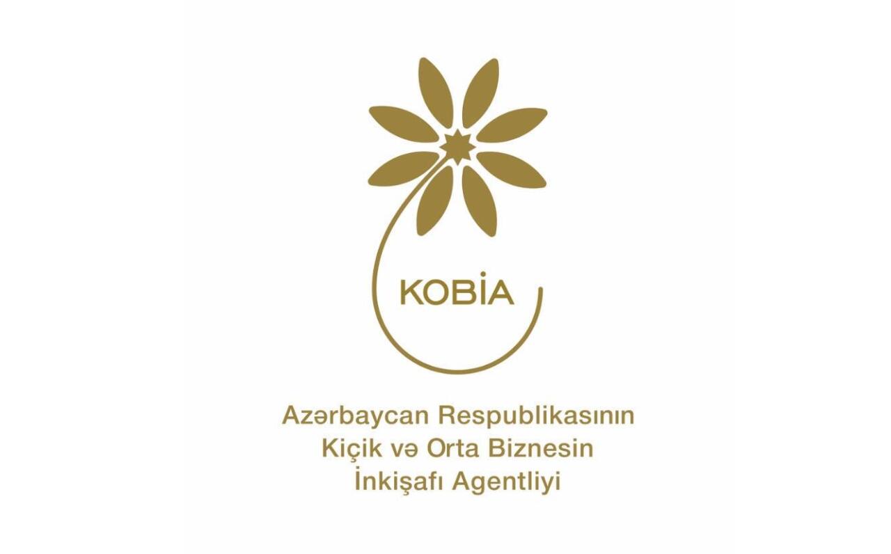 KOBİAnın təşəbbüsü ilə 7 istiqamət üzrə daxili bazar araşdırması aparılıb