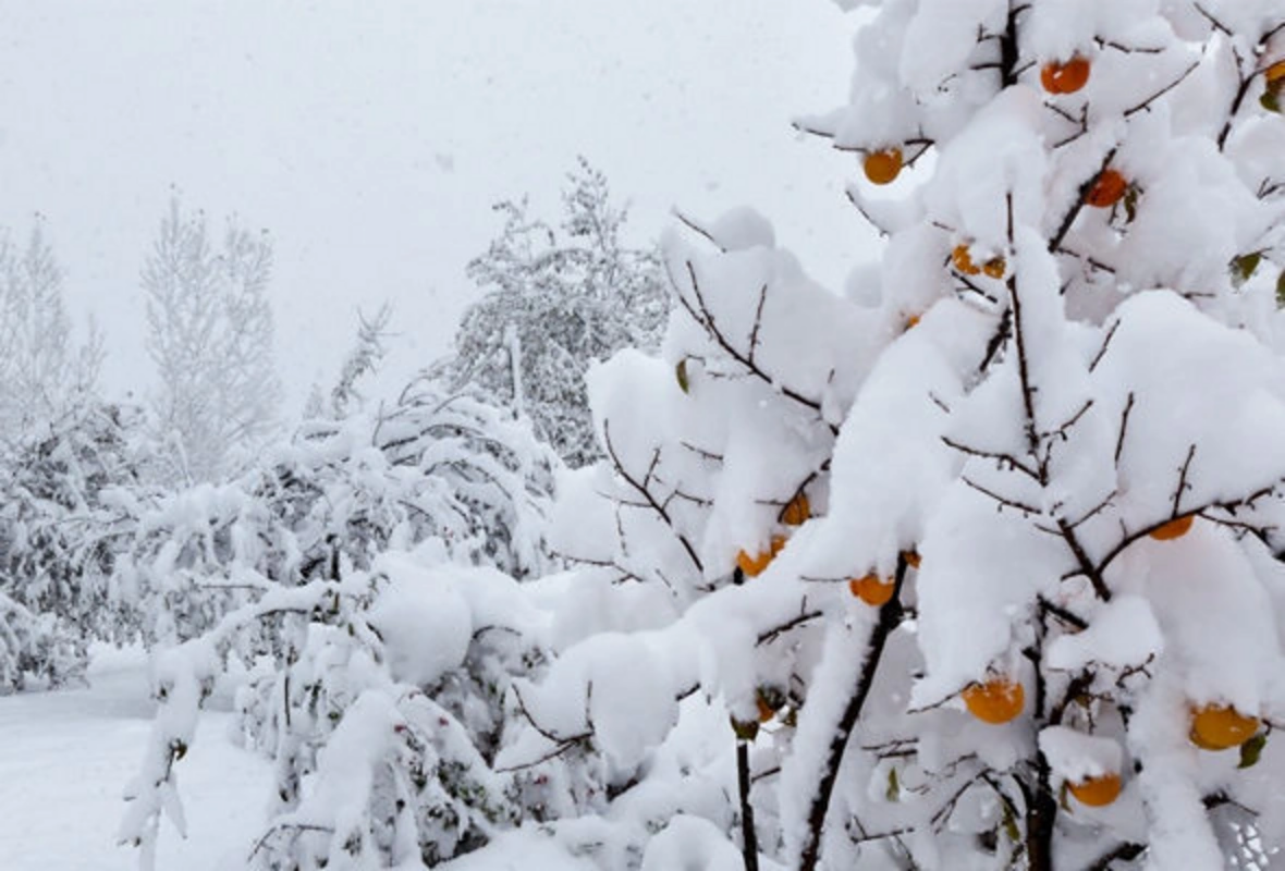 Apreldə qar yağacaq  Türkiyədə xəbərdarlıq edildi, bizdə də temperatur