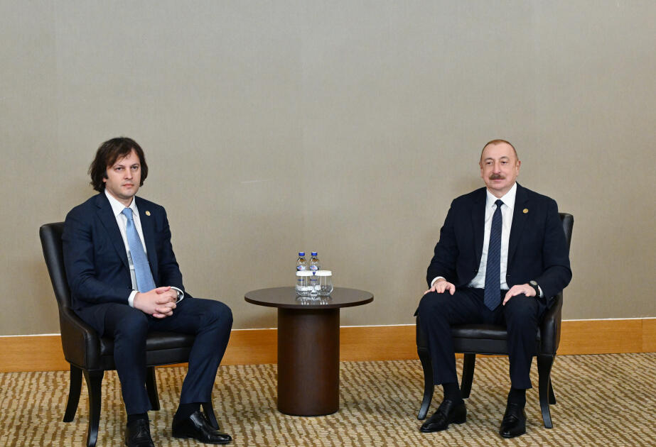 Prezident İrakli Kobaxidze ilə görüşüb  FOTO