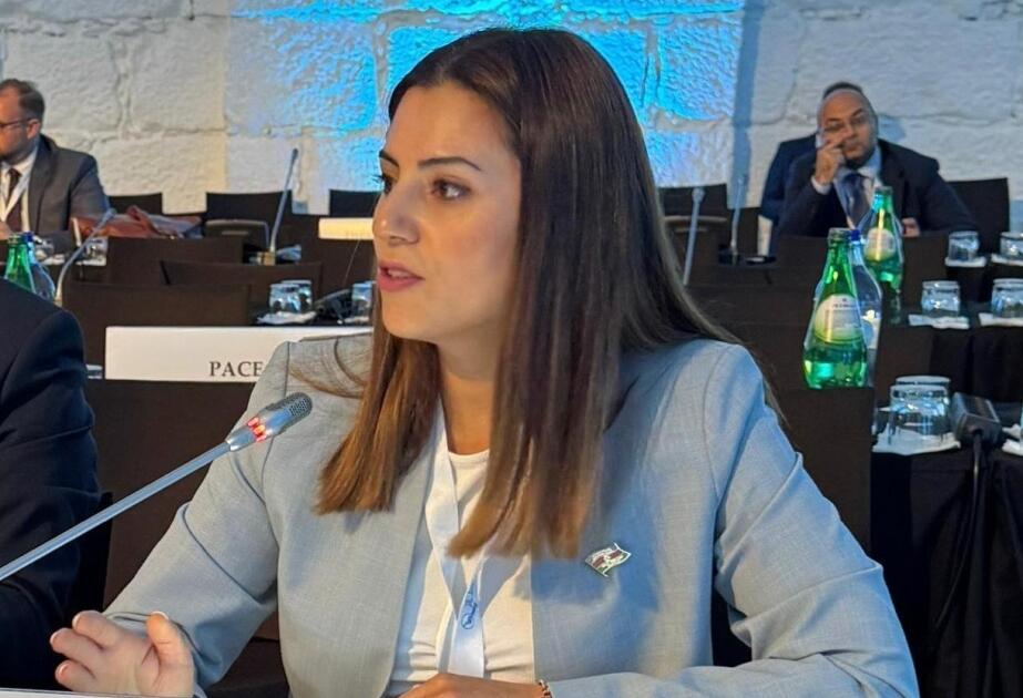Deputat: Sülh sazişi üçün son maneələr aradan qaldırılmalıdır 