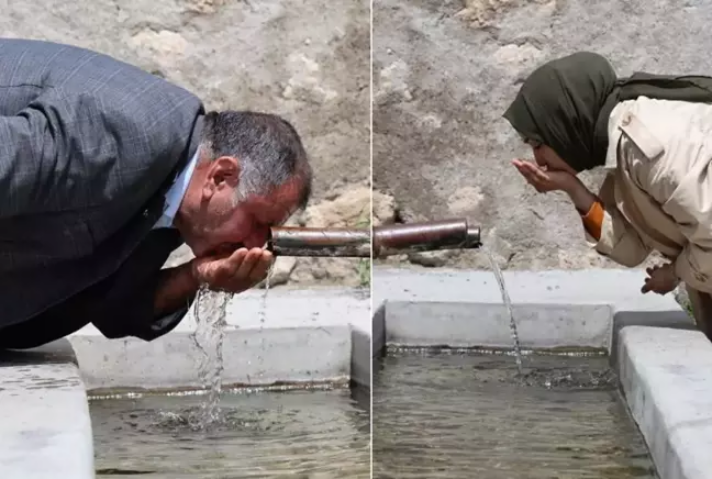 Bu kəndin suyundan içən həkim olur  "Hər evdə ən az biri var"