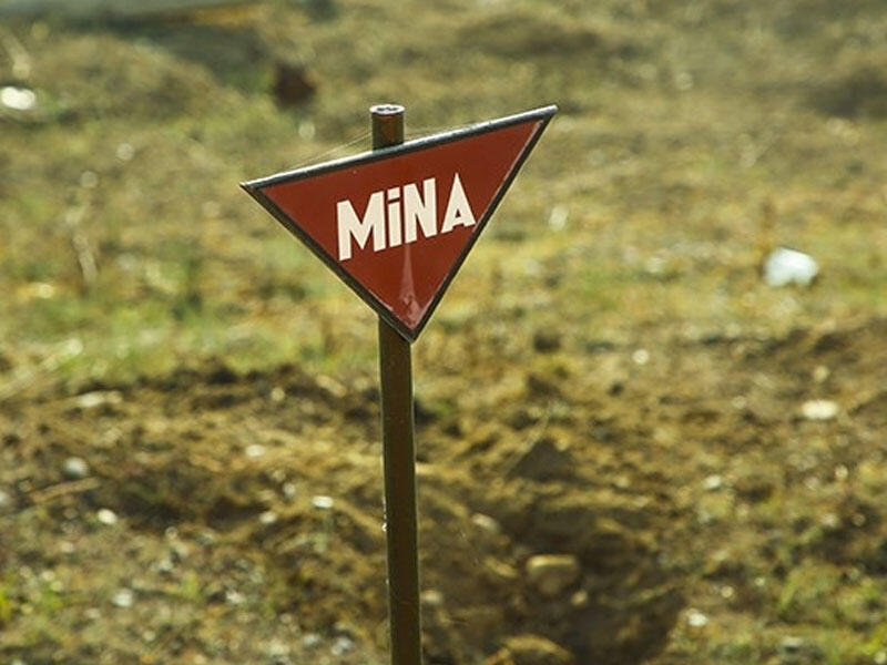 ANAMAnın əməkdaşı Cəbrayılda minaya düşdü