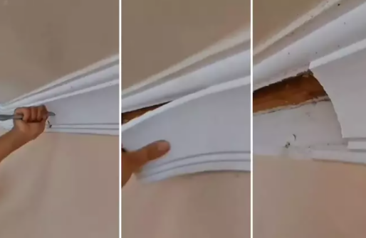 Bakıda evdən görün nə tapıldı  İllərdir belə yaşayıblar...  FOTO