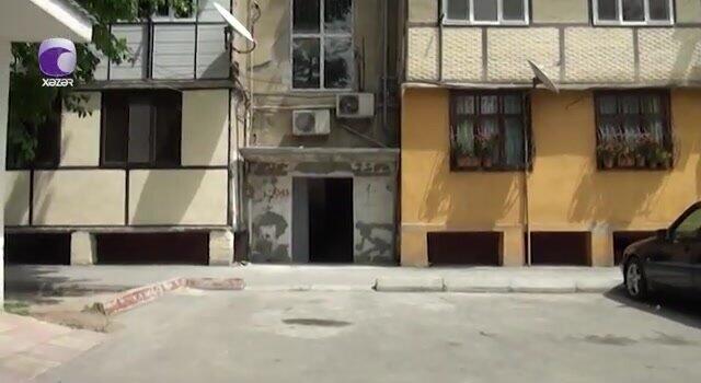 Azərbaycanda təhlükəli canlılar peyda oldu  60 ailə təhlükədə 