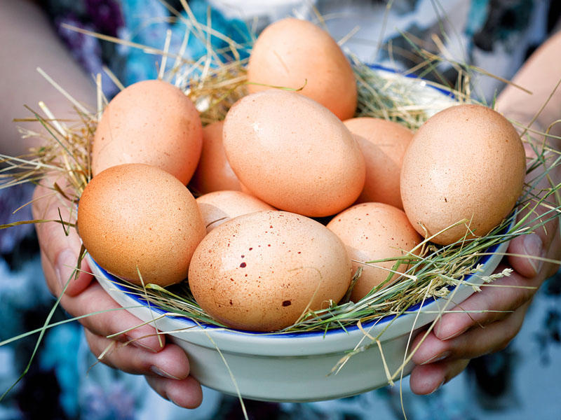 Yumurta niyə bahalaşır?   A&Ccedil;IQLAMA