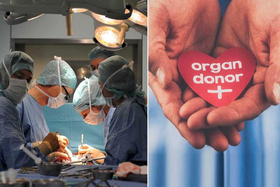 Donor lazım olanda hara müraciət etmək lazımdır? 