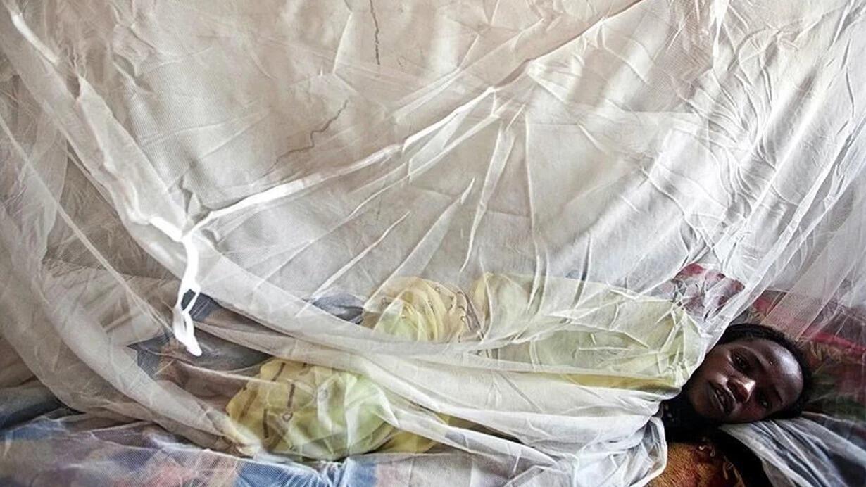 5 həftədə 31 nəfər &ouml;ld&uuml;   "Lassa" qızdırması ilə bağlı son vəziyyət