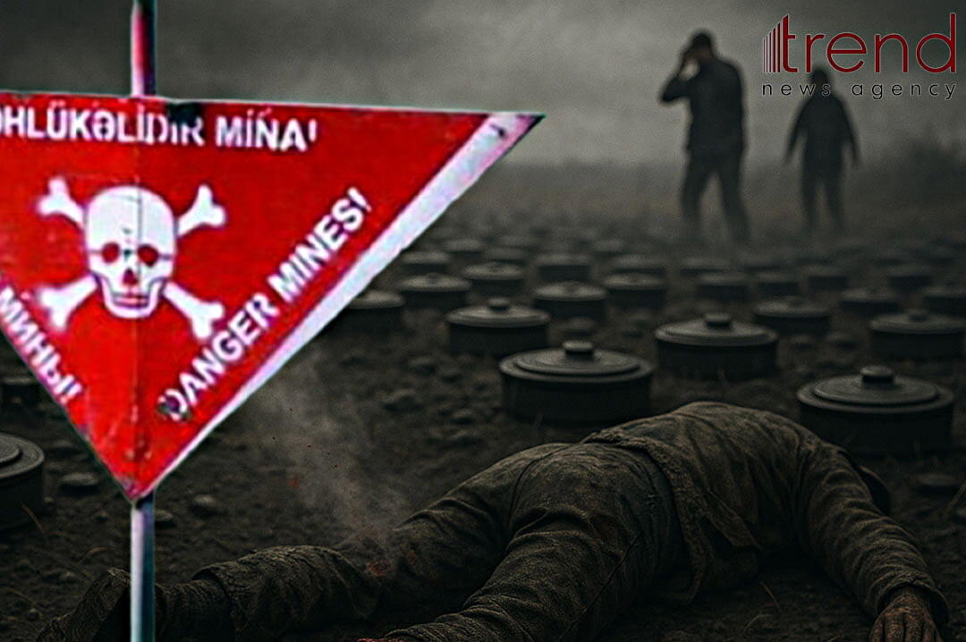 Mina faciələri: bu bəladan qurtulmaq üçün nə etməliyik?