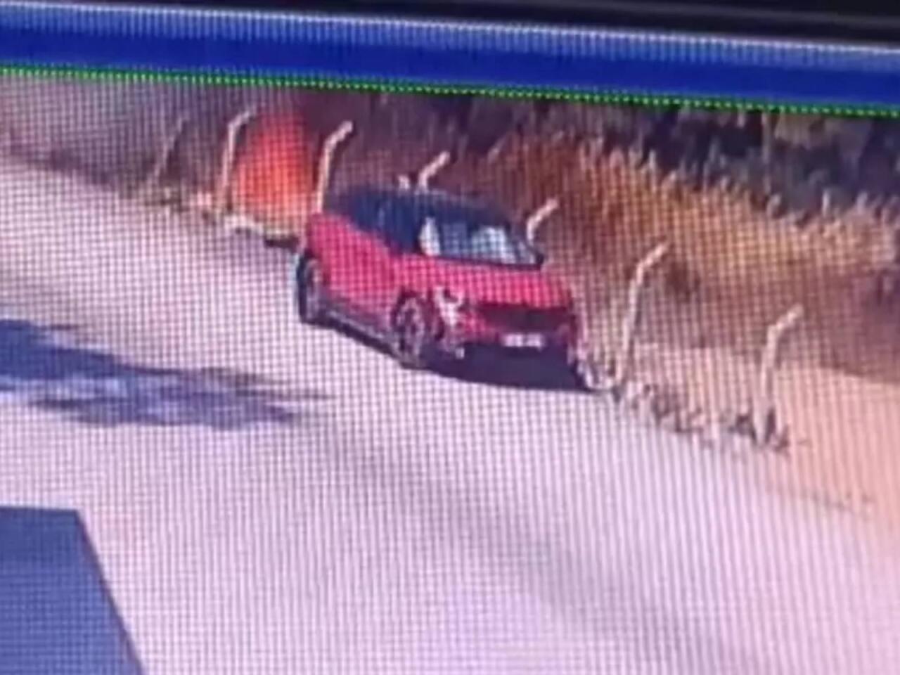 Türkiyədəki meşə yanğını belə başlayıbmış  VİDEO