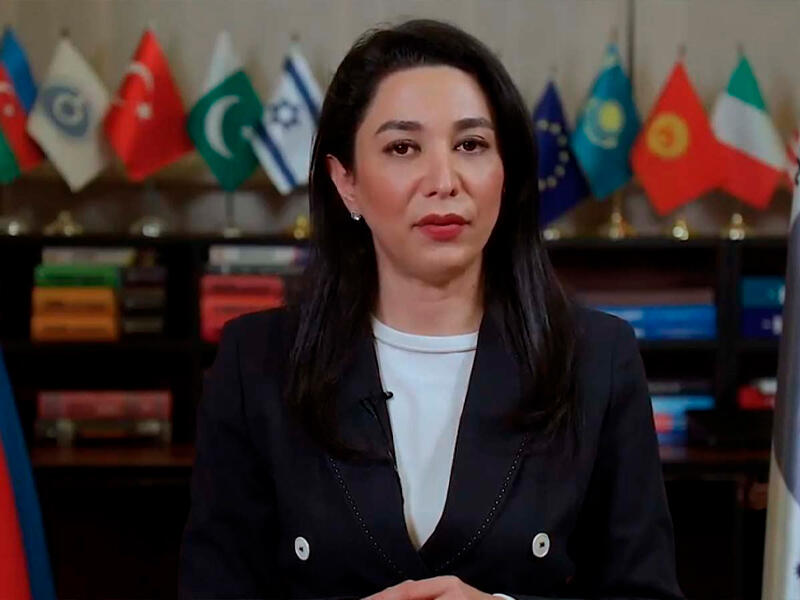 Ombudsman beynəlxalq ictimaiyyəti Ermənistanı basdırılmış minalara görə məsuliyyətə cəlb etməyə çağırıb