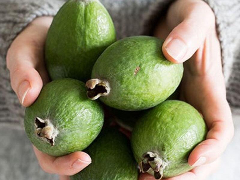 Yodla zəngin feyxoa m&ouml;c&uuml;zəsi  Zobun, prostatın dərmandır