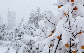 Apreldə qar yağacaq  Türkiyədə xəbərdarlıq edildi, bizdə də temperatur