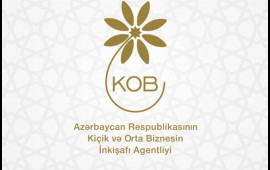 AzərbaycanVyetnam Biznes Şurası yaradılır  FOTO