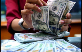 Mərkəzi Bankın valyuta ehtiyatları yenidən 11 mlrd. dolları ötüb
