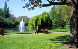 Bakıda bu ərazidə yeni park salınacaq