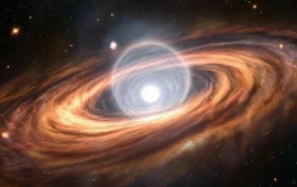 Alimlər cəhənnəmi tapdılar  FOTO