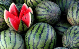 Qarpızdan zəhərlənməmək üçün nələrə diqqət etmək lazımdır?